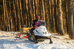 Снегоход РМ ТАЙГА ВАРЯГ 550 V