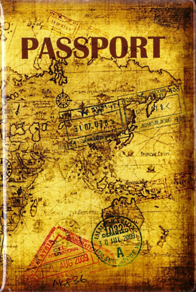 Обложка на паспорт &quot;Карта&quot;