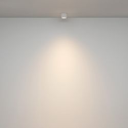 Накладной светильник Maytoni Rendo C095CL-GX53-W