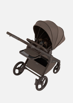 Anex Детская коляска Flo 2 в 1 Browny