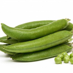 Амалфи семена гороха (Syngenta / Сингента)