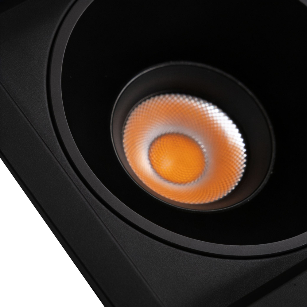 Светильник точечный встраиваемый Wertmark Technical Dorsum WTD.O21.660.30.10