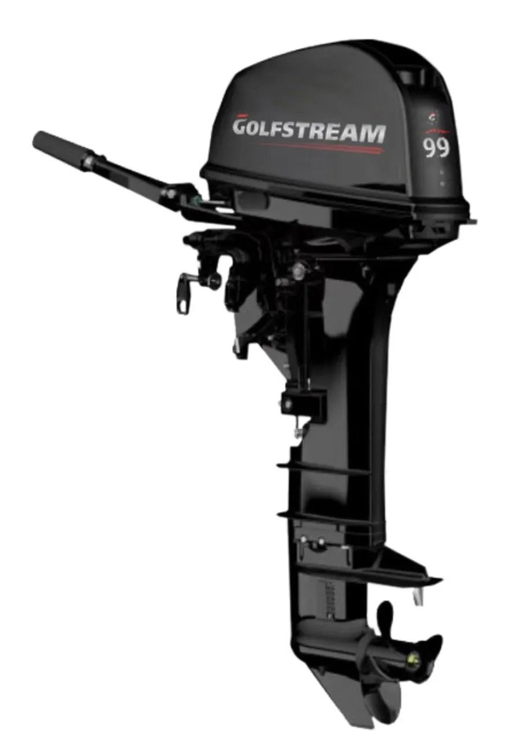 Мотор лодочный GOLFSTREAM T9.9BMS PRO 2-х тактный