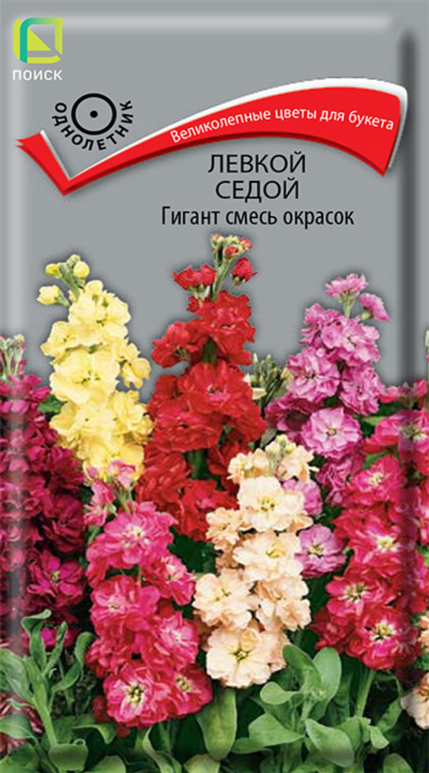 Левкой седой Гигант Смесь окрасок