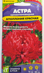 Астра Аполлония Красная 0,2 г хризантемовидная СМЦ-414