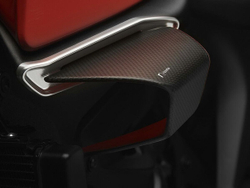 ZDM152 RIZOMA CARBON WINGLETS PAIR (M 937)