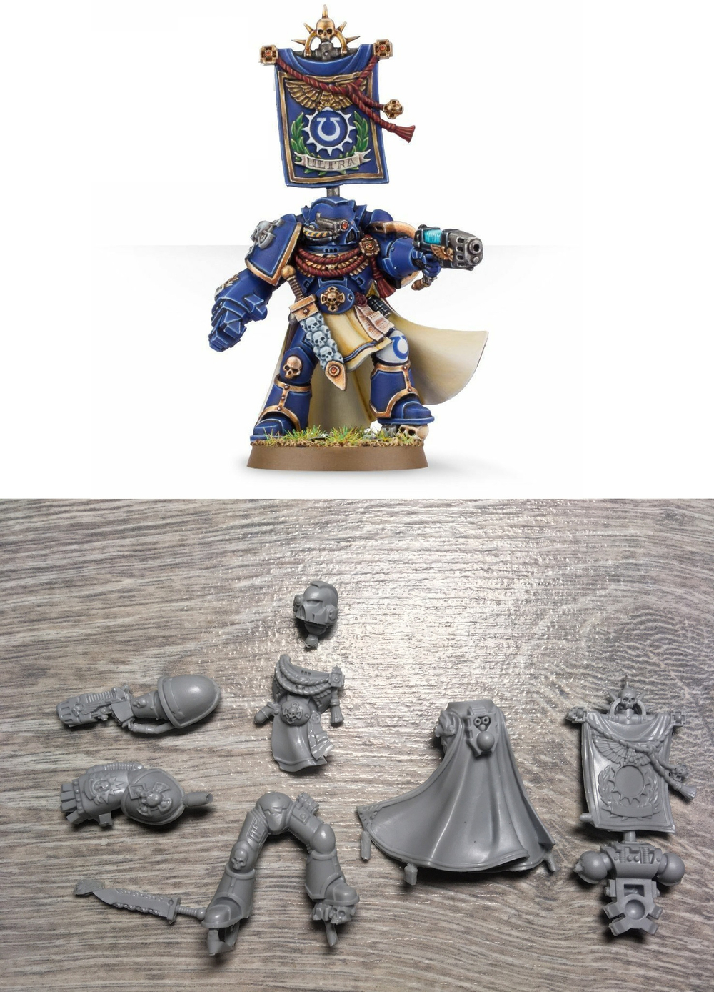 Space Marine Captain — Limited Edition, Web Exclusive