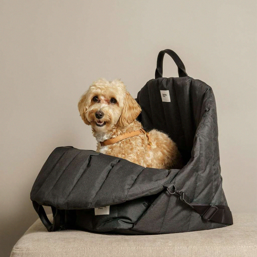 Автокресло - Пони HuntingPony