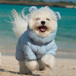 023 Шапка "Медведь" /капюшон к комбезам 671/672 PREMIUM (SSOOOK)