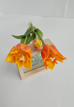 Тюльпаны лилиецветные / Арт 2523