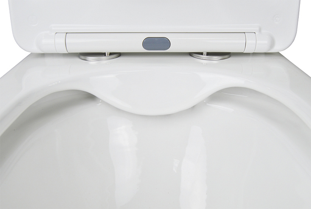 Унитаз-компакт Azario AVERO 660x360х820 напольный, безободковый с бачком и сиденьем микролифт (AZ-3121)