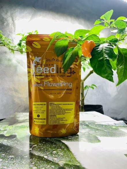 Powder Feeding Short Flowering 0.125 кг