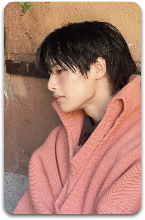 Карта / STRAY KIDS #1831