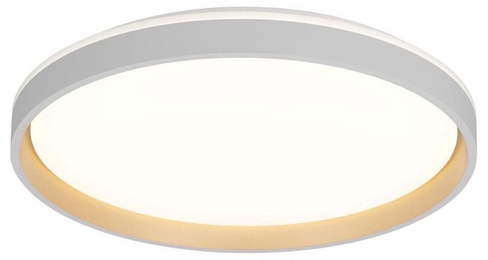 Накладной светильник Citilux ENZO CL753510G