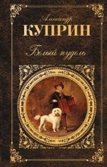 Белый пудель