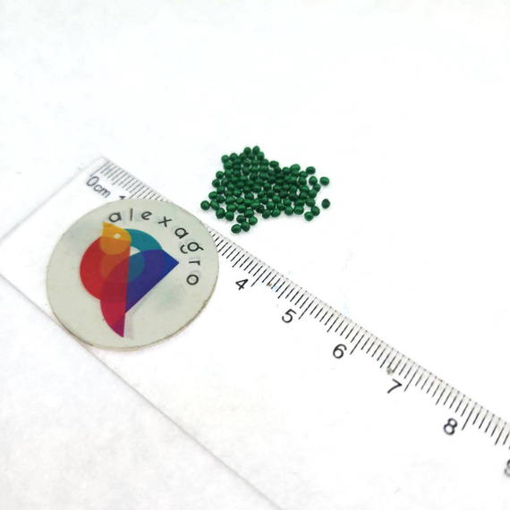 Индио F1 семена томата детерминантного (Sakata /ALEXAGRO) – фото 2