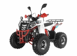Квадроцикл Wels Thunder EVO X