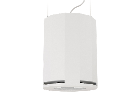 CVGAUDIO SUBone model DH-8W/CR/T подвесной сабвуфер, мощность 100W/100V