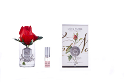 Ароматизированная роза в прозрачной вазе и 1 спрей 13.5х8х8 Cote Noire Rose Bud carmine red