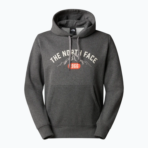 Худи The North Face Varsity Graphic серая