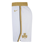 Баскетбольные мужские шорты Nike Dri-FIT NBA Swingman Boston Celtics City Edition