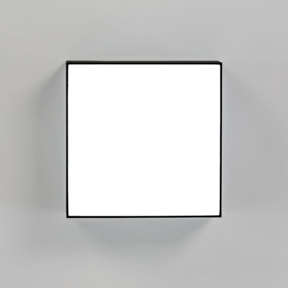 Накладной светодиодный светильник Citilux Тао CL712X122N