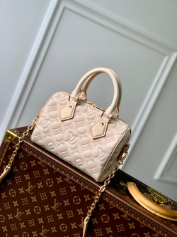 Louis Vuitton Speedy 20