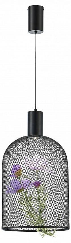 Подвесной светильник Moderli Ophelia V11875-PL