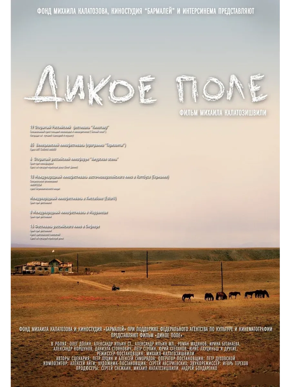 Дикое поле (2008) (КИНО USB)