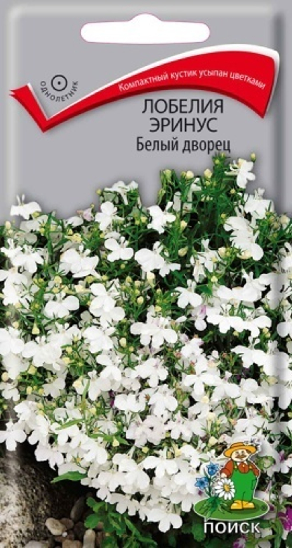 Лобелия эринус Белый дворец