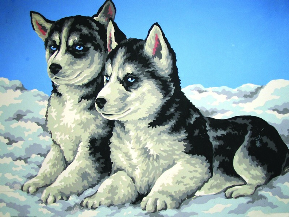 "Хаски"-10403 канва с рисунком