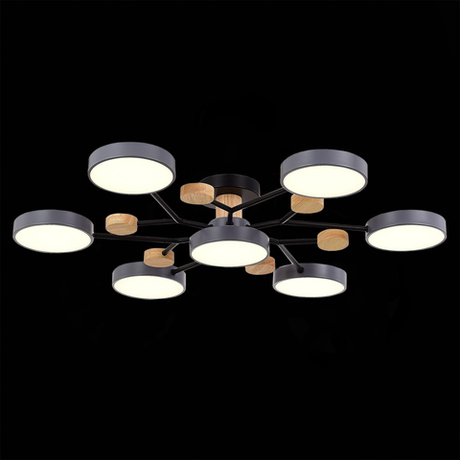 Светильник потолочный Evoluce Faema SLE6006-702-07