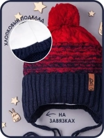Шапка для мальчика осенняя на завязках