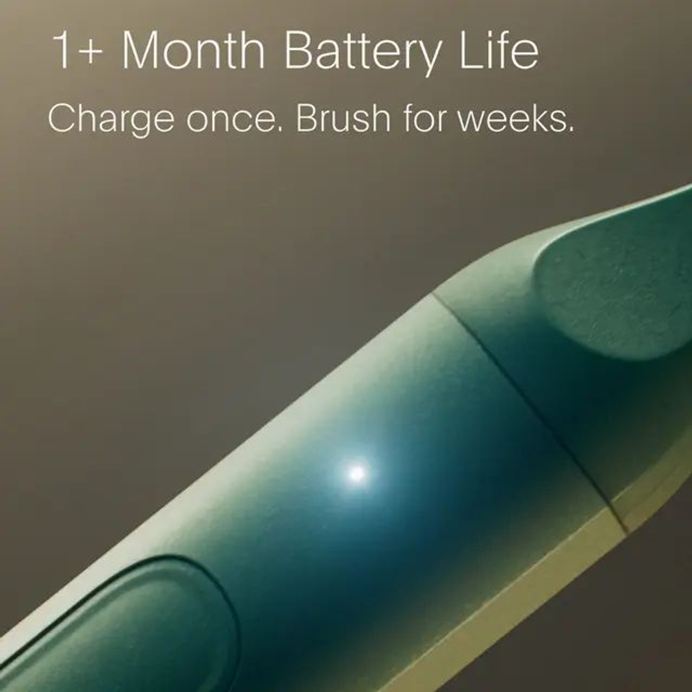 SURI Электрическая зубная щетка 2.0 Sonic Electric Toothbrush with UV Cleaning Travel Case, Winter Fern