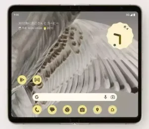 Google Pixel Fold