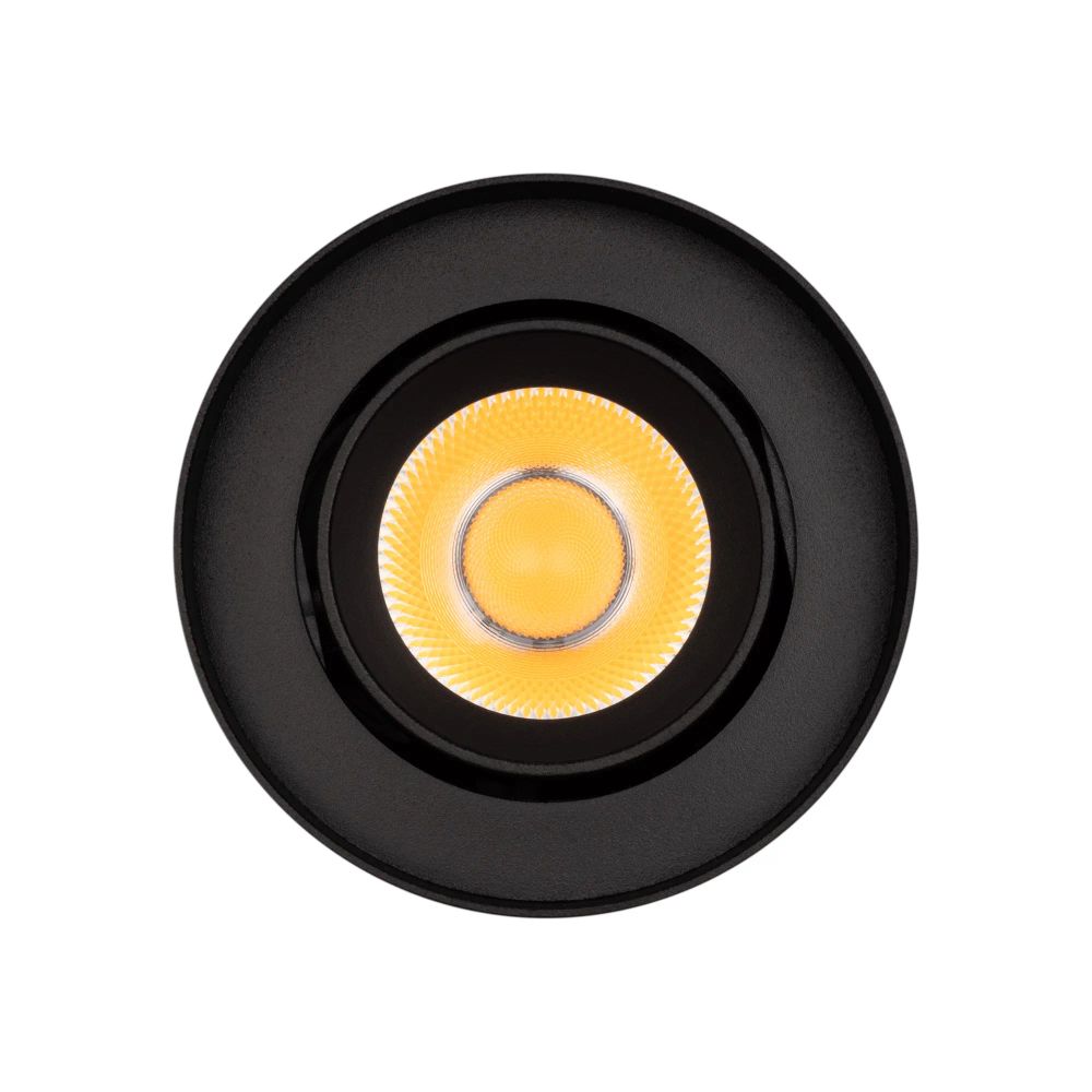 Светильник SP-FOCUS-R86-10W Day4000 (BK, 24 deg, 230V) (Arlight, IP54 Металл, 5 лет) 054810