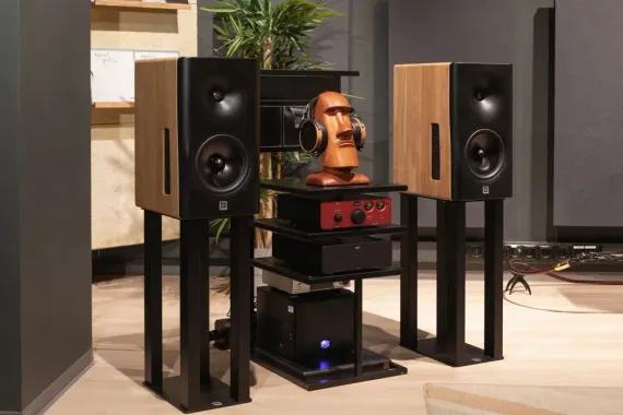 Dutch & Dutch 8c Speaker Black & Natural (1 шт)