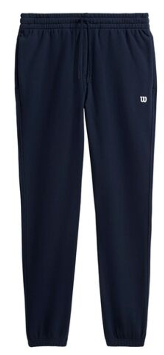Мужские теннисные штаны Wilson Unisex Crew Pant - небесный