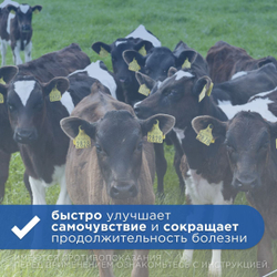 Противовирусный, иммуномодулирующий и противовоспалительный инъекционный раствор для животных, Анандин 10%, АВЗ, 100 мл.