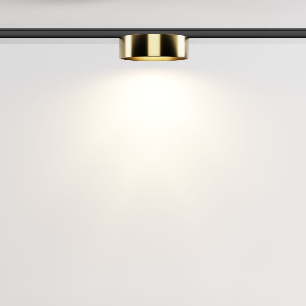 Трековый магнитный светодиодный светильник Maytoni Levity Zon TR189-1-12W3K-BBS
