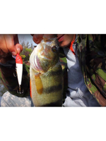 Воблер Минноу M-1 75mm, цвет 018 (карась), 1 штука