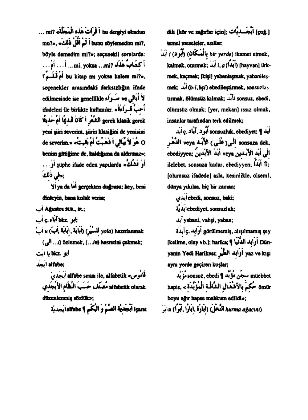 Arapca-Turkce-Sozluk | Serdar Mutcali