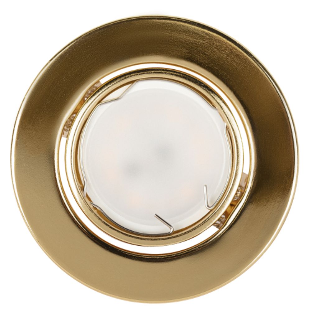 ST2A GD Светильник ЭРА штампованный поворотный MR16,12V/220V, 50W золото