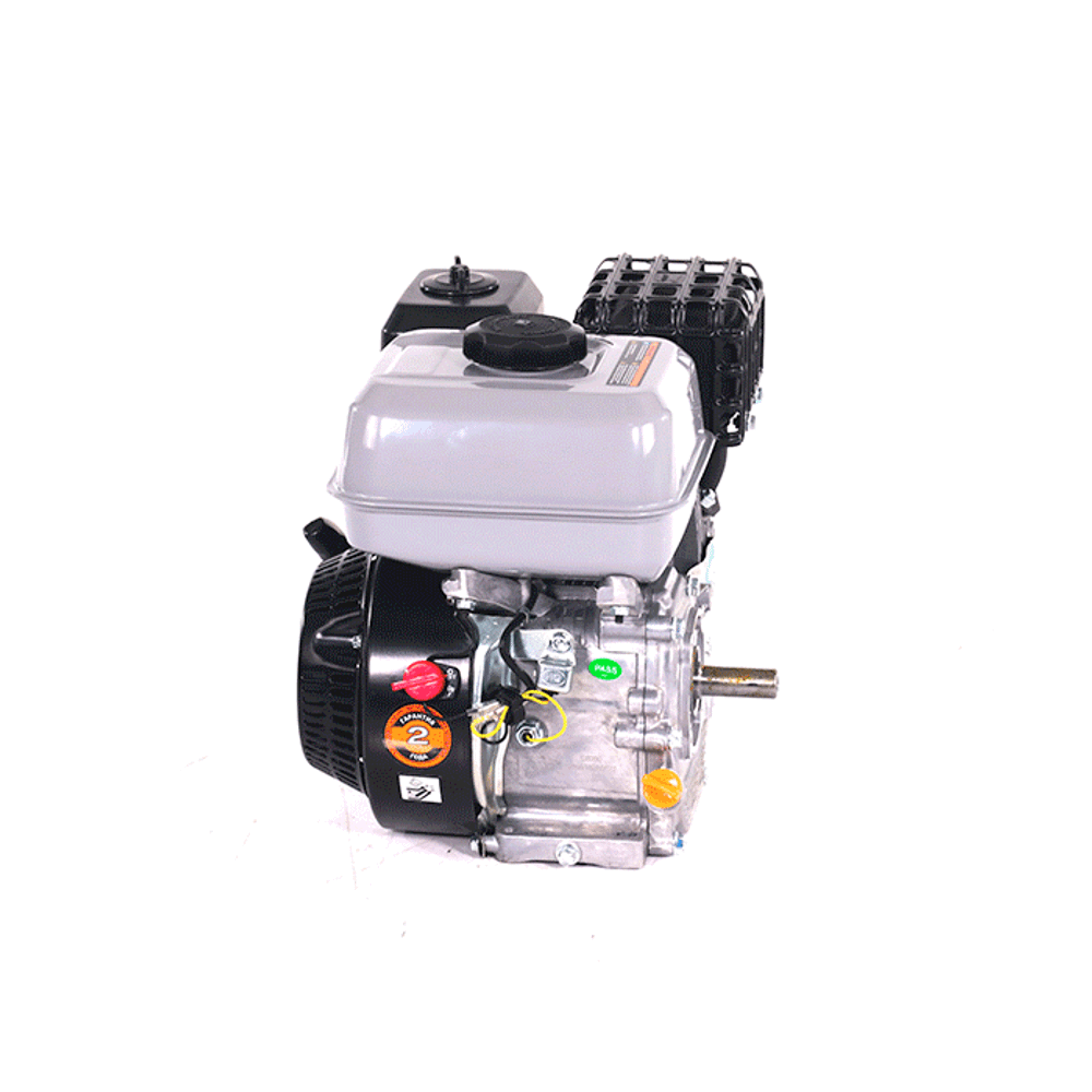 Двигатель бензиновый EVOline GB 200 S