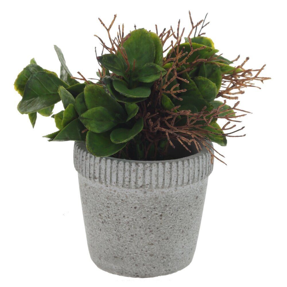 GAEM Цветочная композиция, L11 W11 H16 см