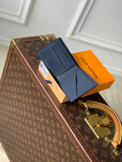 Louis Vuitton Multiple Wallet