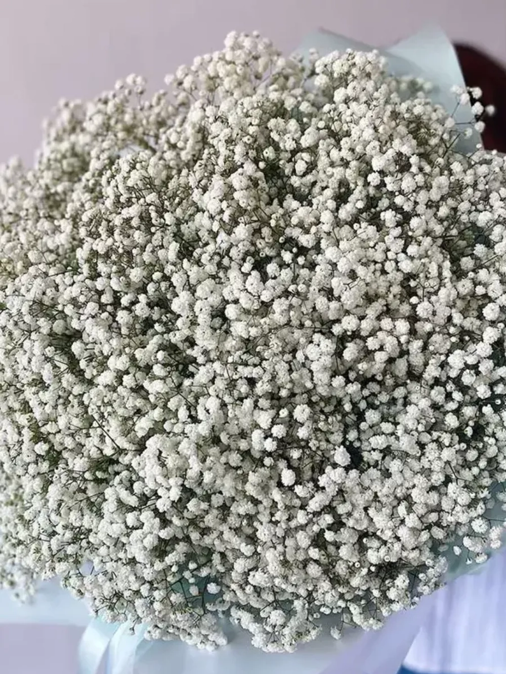 Гипсофила белая