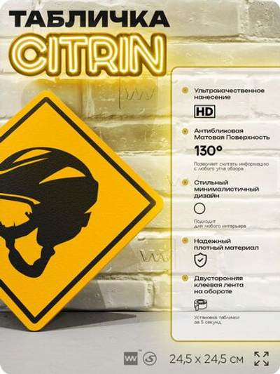 Табличка декоративная "Шлем сноубордиста, лыжника" на дверь и стену, спортивная, информационная, декоративный знак, 24,5х24,5 см, пластиковая, Айдентика Технолоджи
