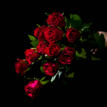 Ловец сердец — букет классических красных роз