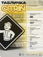 Табличка декоративная "Фоллаут, Fallout, Волт-Бой" на дверь и стену, прикольная штука в подарок геймеру, декоративный знак, 24,5х24,5 см, Айдентика Технолоджи